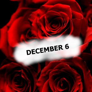 Image of "December 6" on a background of red roses